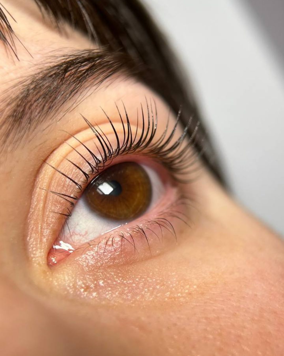 Lashlifting in Pirna